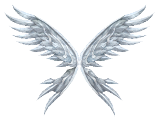 Wings of Soul +9
