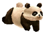 Pet Panda