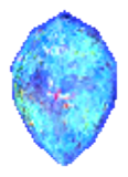 Jewel of Harmony